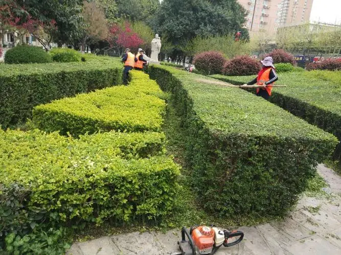 大唐观邸园林景观设计