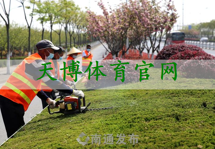 市政道路绿化工程承包商