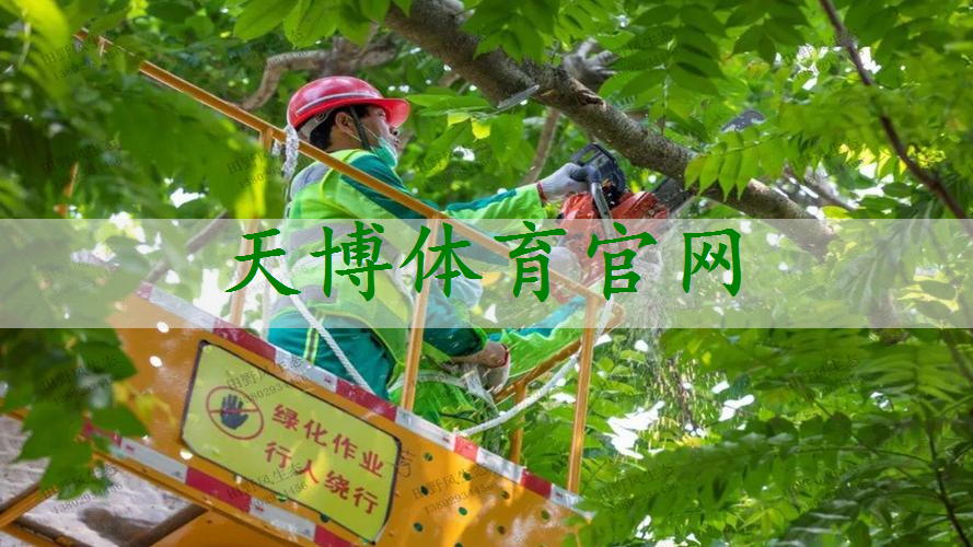 太合公馆园区绿化工程项目