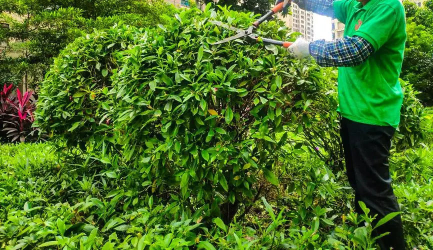 国外创意园林景观设计